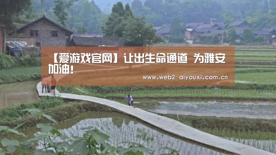 【爱游戏官网】让出生命通道 为雅安加油!(图2) 足球即时比分