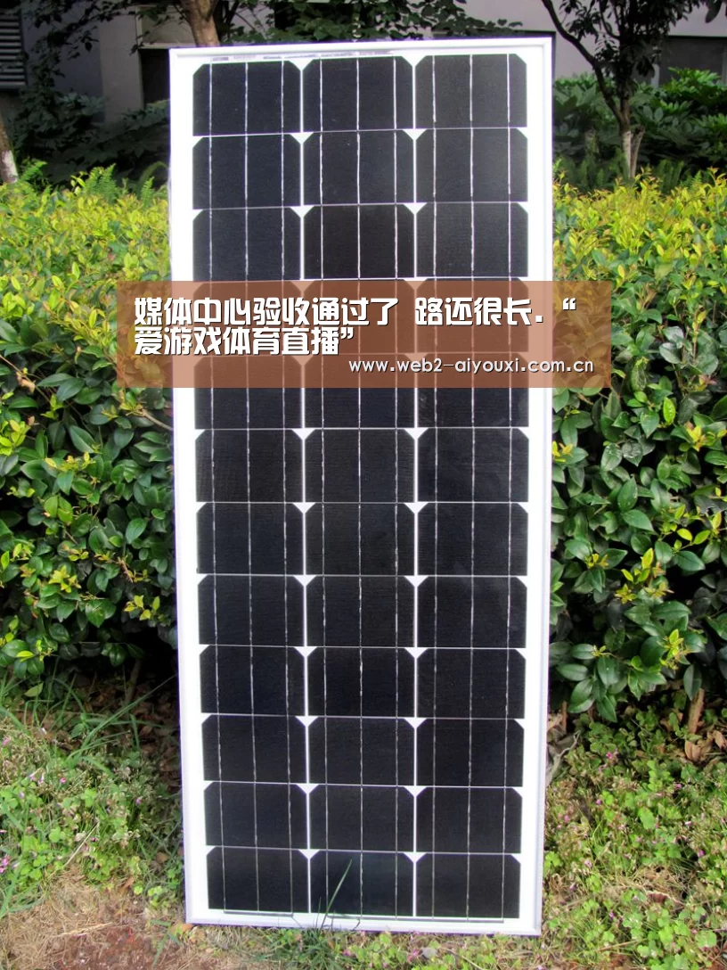 媒体中心验收通过了 路还很长.“爱游戏体育直播”(图2) 爱游戏体育直播