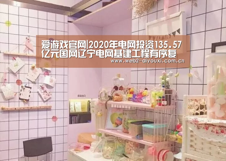 爱游戏官网|2020年电网投资135.57亿元国网辽宁电网基建工程有序复工(图1) 爱游戏app