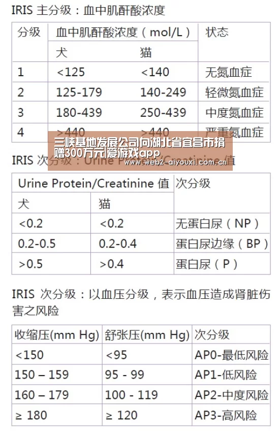 爱游戏体育直播