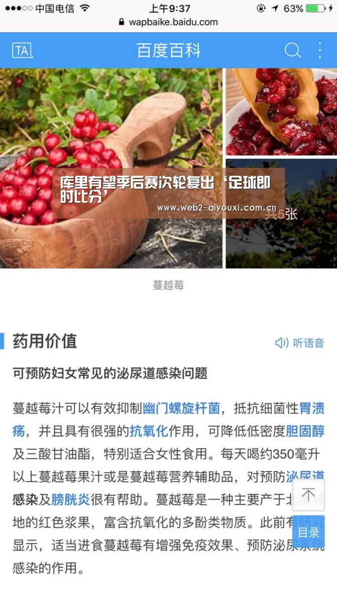 爱游戏体育直播